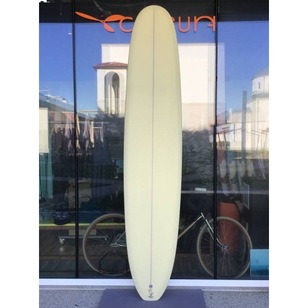 Springfield 9'5'' slide 2832