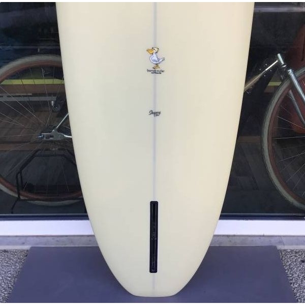 Springfield 9'5'' slide 2834