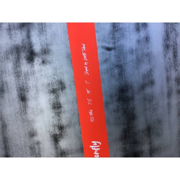 Dragonfly 7'0'' 100L (2024) slide 3752