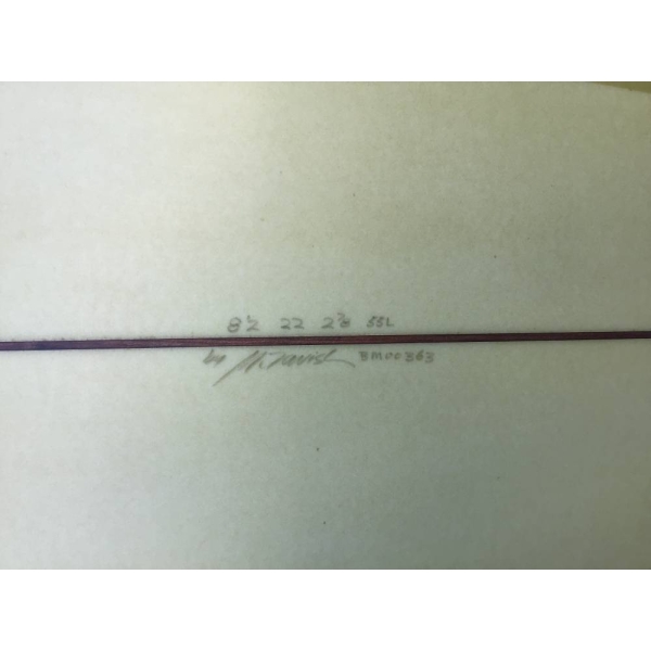 Stepdeck 8'2'' slide 4262